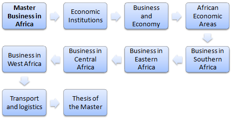 Online Master in Business Africa