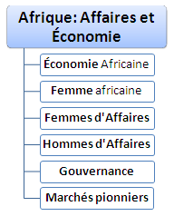 Cours Master : Afrique affaires et économie