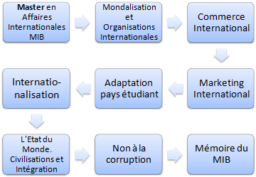 Master FOAD en affaires internationales