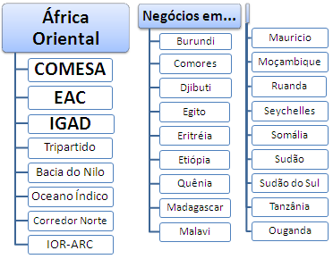 Mestreado EAD: África Oriental Negócios (Mestrado Curso EAD)