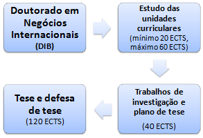 Estrutura Doutoramentos Negócios a distância EAD